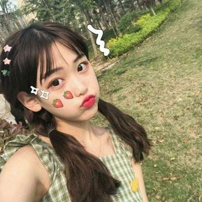 秘密使节
